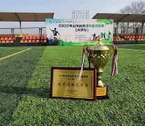 博彩-国内女足联赛